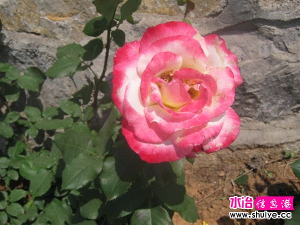 IMG_4757.JPG