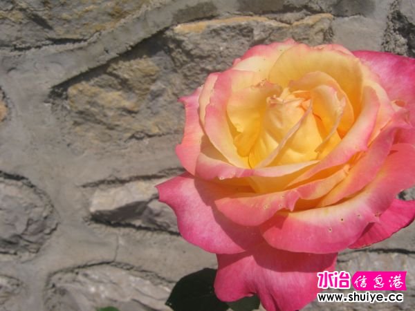 IMG_4759.JPG