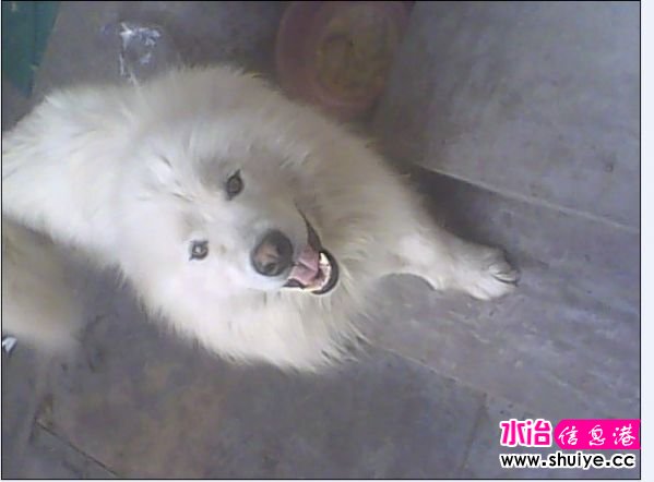 QQͼƬ20140509023129.jpg