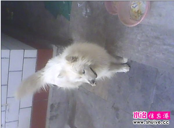 QQͼƬ20140509023150.jpg
