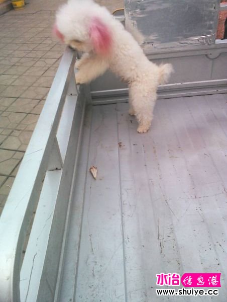 QQͼƬ20140510184350.jpg