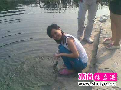 d8e1f81f4134970a01512ba897cad1c8a6865dcc.jpg