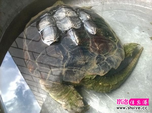 QQͼƬ20140712220721.jpg