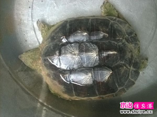 QQͼƬ20140712220731.jpg