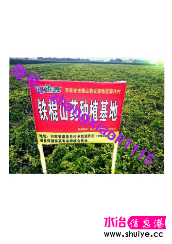 20140907_100552.jpg