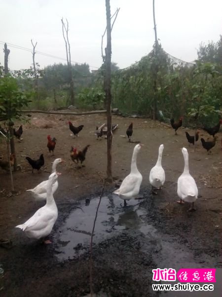 IMG_20140930_071637 - ����.jpg