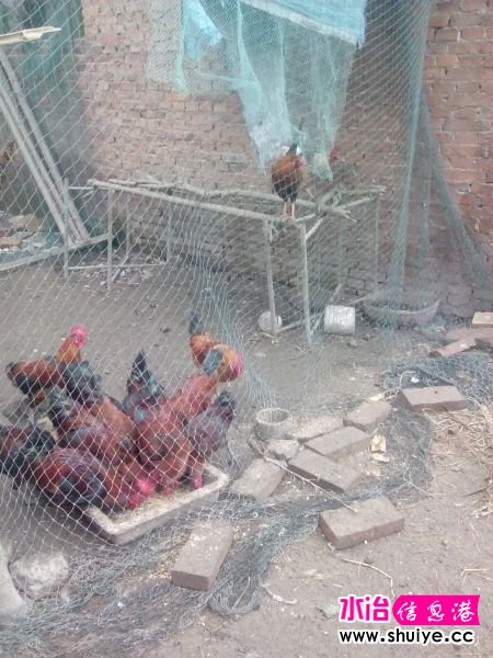 IMG_20140930_071643 - ����.jpg