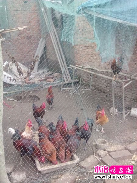 IMG_20140930_071712 - ����.jpg