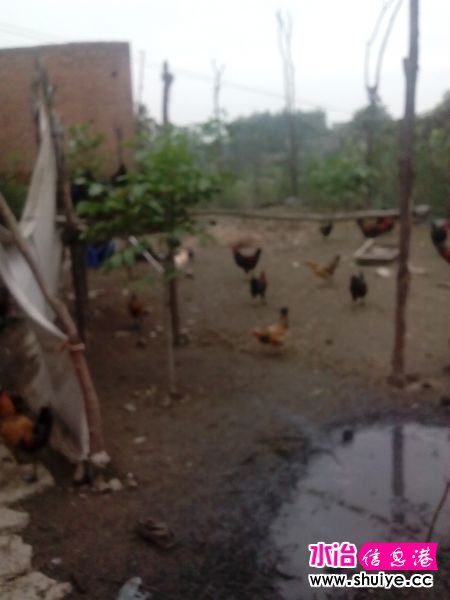 IMG_20140930_071734 - ����.jpg