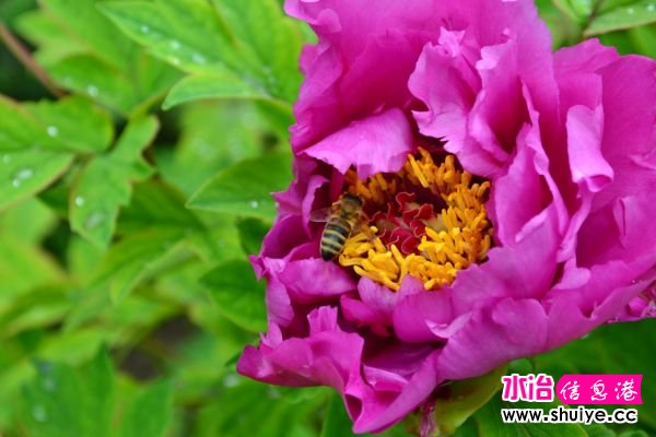 DSC_0260.JPG
