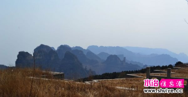 DSC_0810.JPG