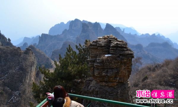 DSC_0931.JPG