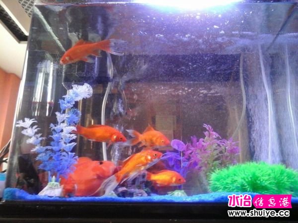 QQͼƬ20150320151545.jpg