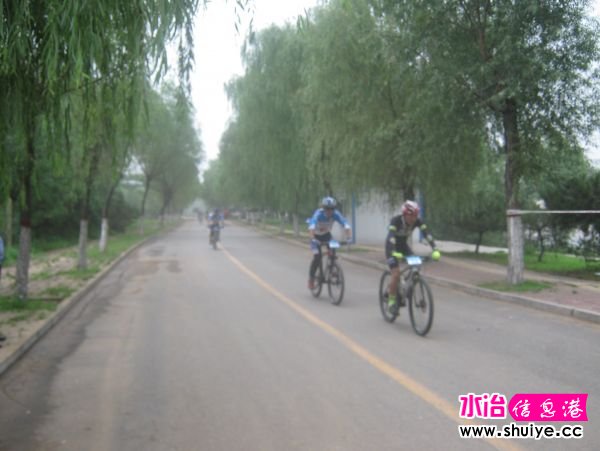 IMG_7470.JPG