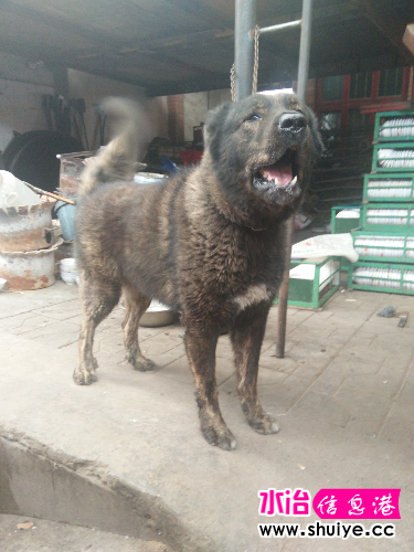 IMG20150911133613.jpg