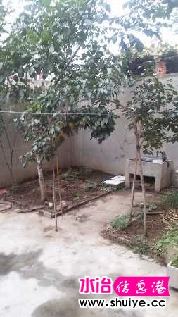 House_3b1bf860-3c5c-4d3f-a8a7-e546d1d2cb40_big.jpg