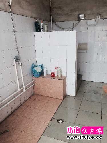 image.jpeg