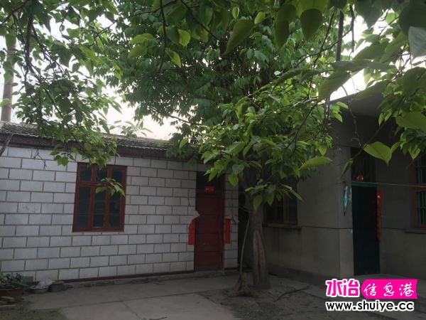 IMG_5147_meitu_1.jpg