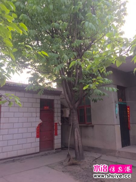 IMG_5146_meitu_1.jpg