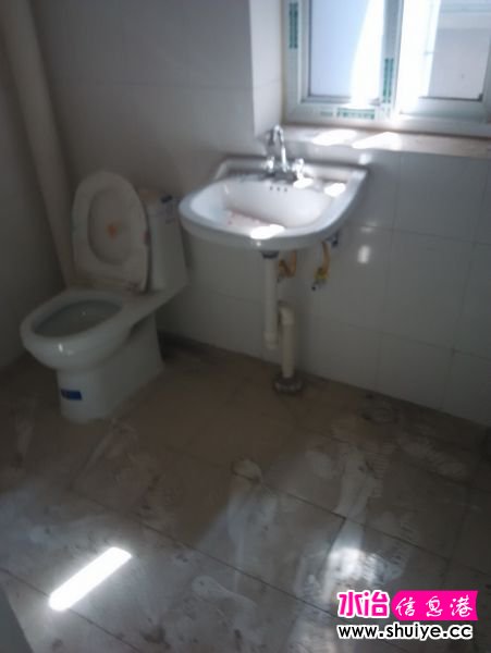 1026573281.jpg