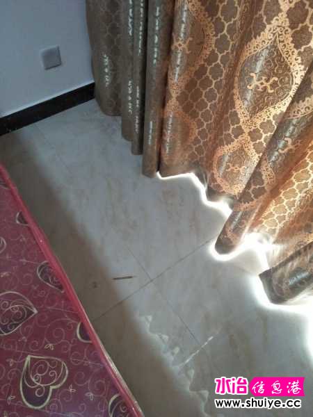 IMG20180211100357.jpg