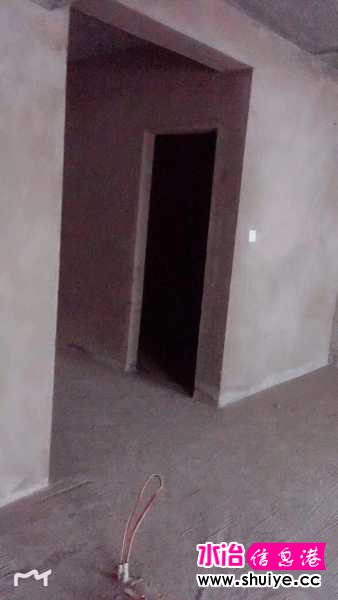 mmexport1585122263475.jpg