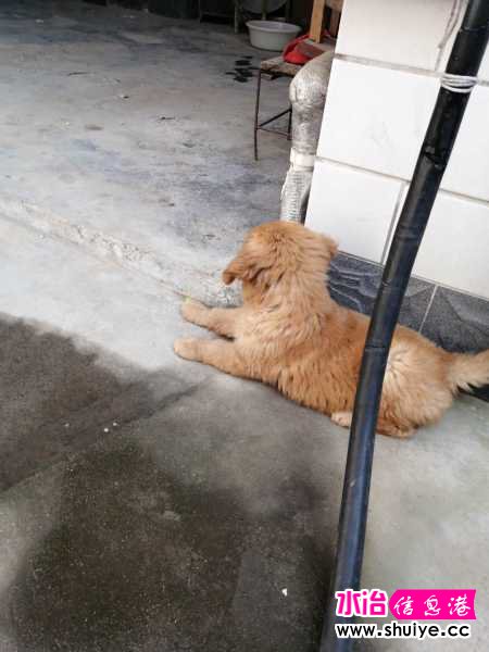 wechat_upload15914335135edb59290af9f