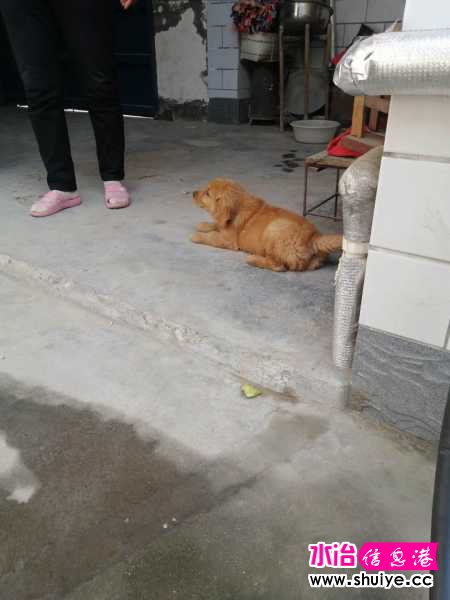 wechat_upload15914335375edb5941eb145