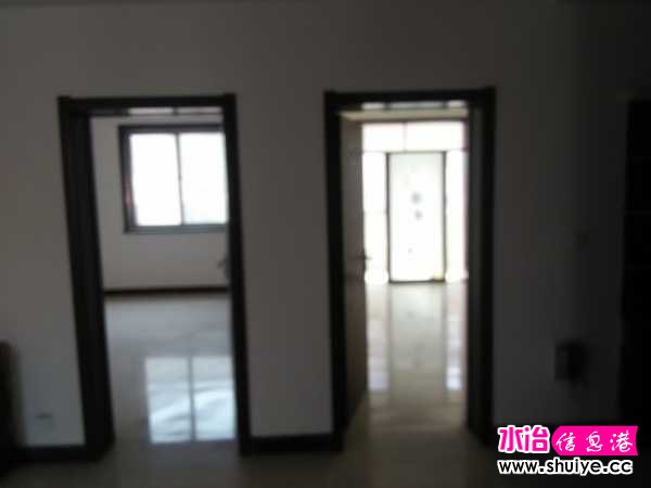 IMG20200403144647.jpg