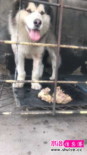 wechat_upload15942524595f065cab78c21