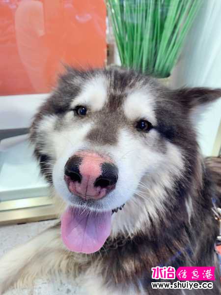 wechat_upload15952156325f150f10d8784