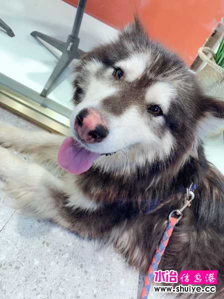 wechat_upload15952156375f150f159731a