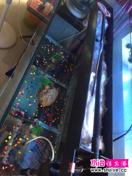 wechat_upload15996197465f5842a2b55f5