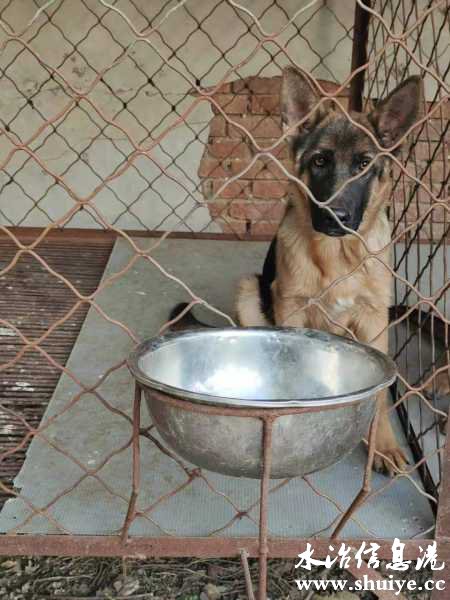 wechat_upload16072499995fccb04f14b2b