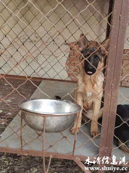 wechat_upload16072500085fccb0584f118