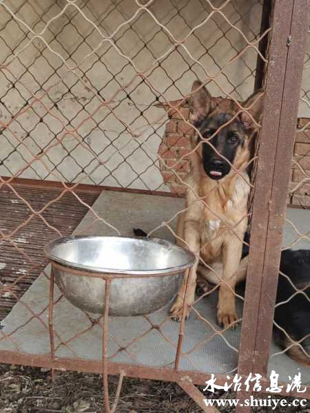 wechat_upload16072504875fccb2376853f