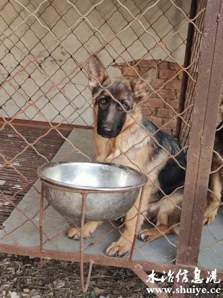 wechat_upload16072504945fccb23e6adbb