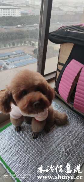 wechat_upload1612515868601d0a1cd152b