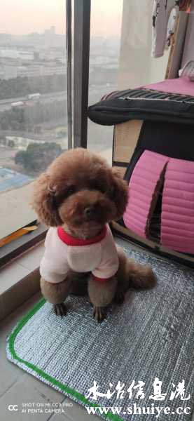 wechat_upload1612515873601d0a217a8ee