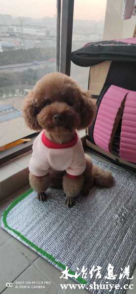 wechat_upload1612515877601d0a25beac4