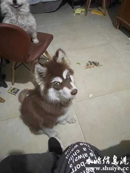 wechat_upload16202192146092954e6a5c7