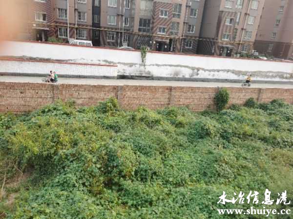wechat_upload16317853366143117808a13