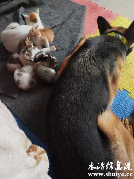 wechat_upload16328843216153d6619d56e