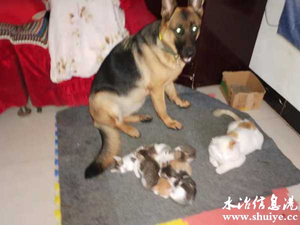 wechat_upload16328843336153d66dade57