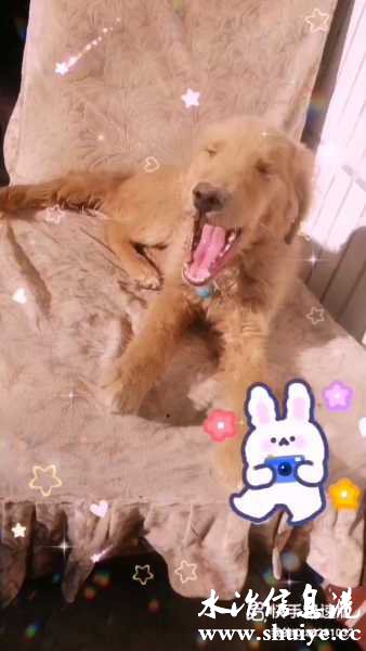 wechat_upload16442917486201e6a4d519e