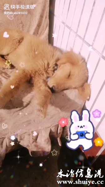 wechat_upload16442917596201e6af5ad2a