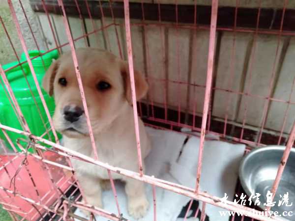 wechat_upload16486836816244eaa1c4e9e