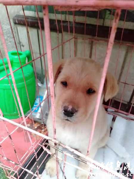 wechat_upload16486839446244eba8f248e