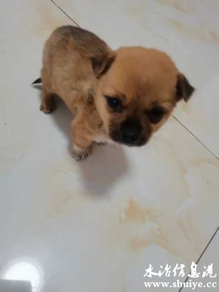 wechat_upload1700719964655eed5c043dc