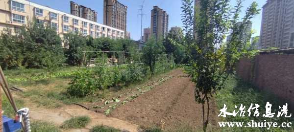 wechat_upload175773285468c4dff62ed2b